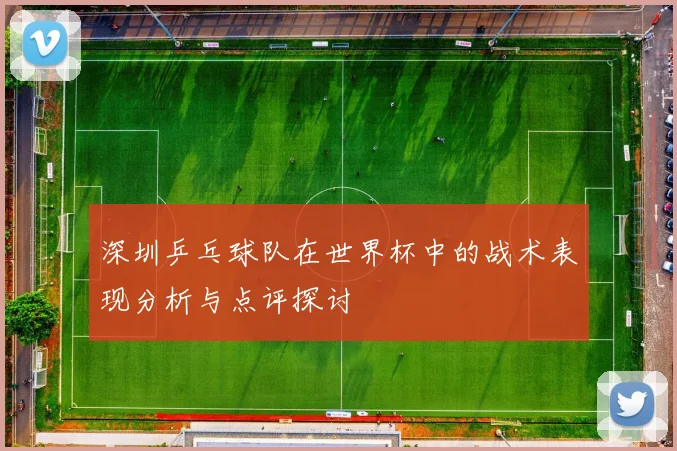 深圳乒乓球队在世界杯中的战术表现分析与点评探讨