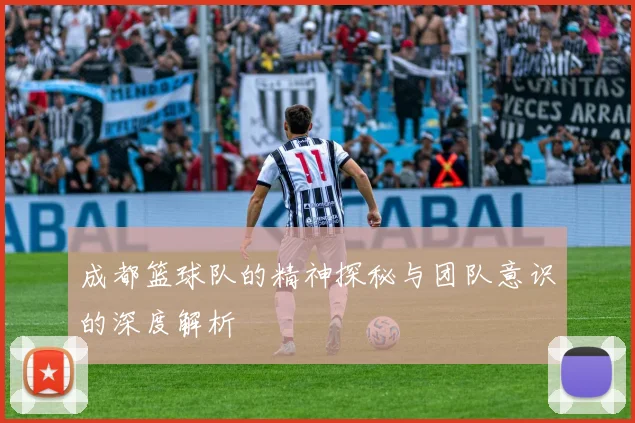 成都篮球队的精神探秘与团队意识的深度解析
